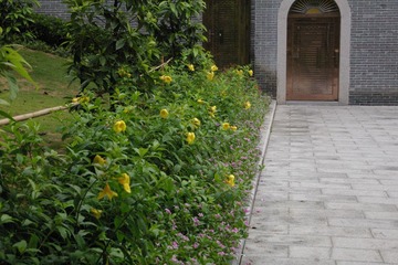 IMGP3081.JPG