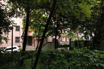 IMGP3088.JPG