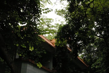 IMGP3092.JPG
