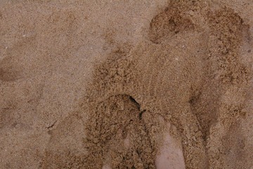 IMGP3256.JPG