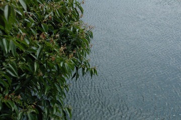 imgp1766.JPG