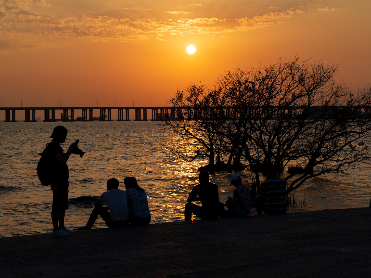西湾红树林夕阳