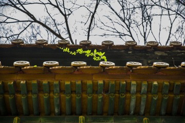 FU0A0444.jpg