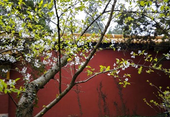 FU0A0461.jpg
