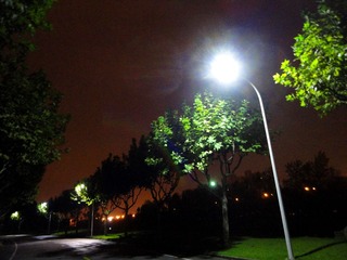 校园小路.JPG