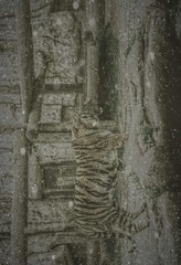 001