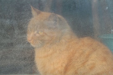 IMG_2285.JPG