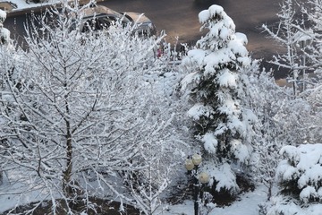IMG_3420.JPG
