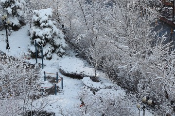 IMG_3417.JPG