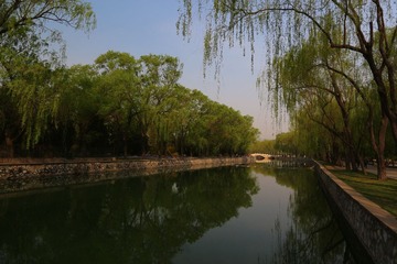 IMG_4562.JPG