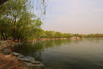 IMG_4587.JPG