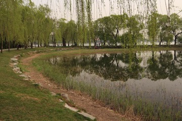 IMG_4746.JPG
