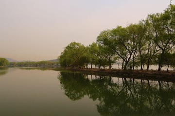 IMG_4608.JPG
