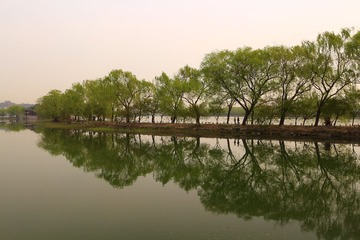 IMG_4616.JPG
