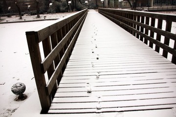 IMG_3508.JPG