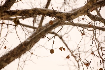 IMG_3583.JPG