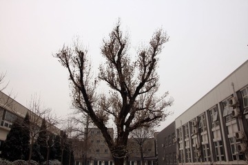 IMG_3589.JPG