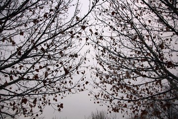 IMG_3608.JPG