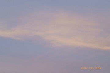1010613