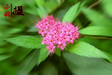 IMG_19922.jpg