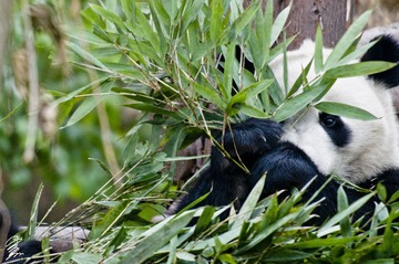 DSC_0077.jpg