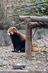 DSC_0362.jpg
