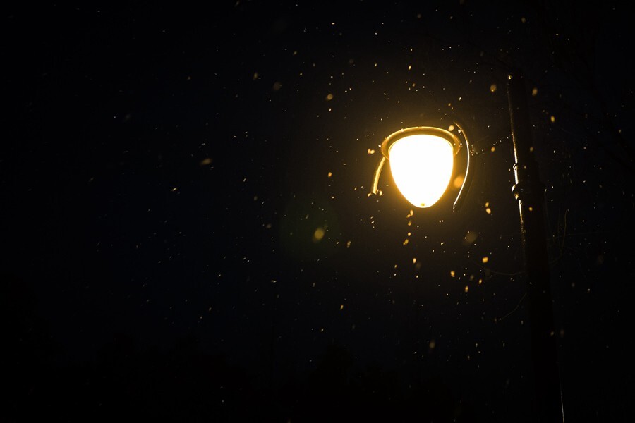 雪夜