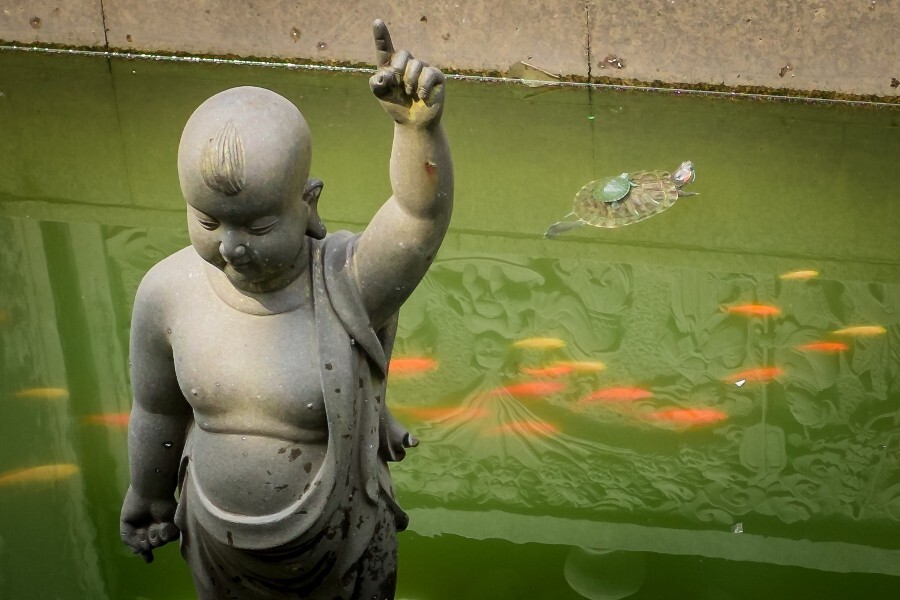 佛池，渡