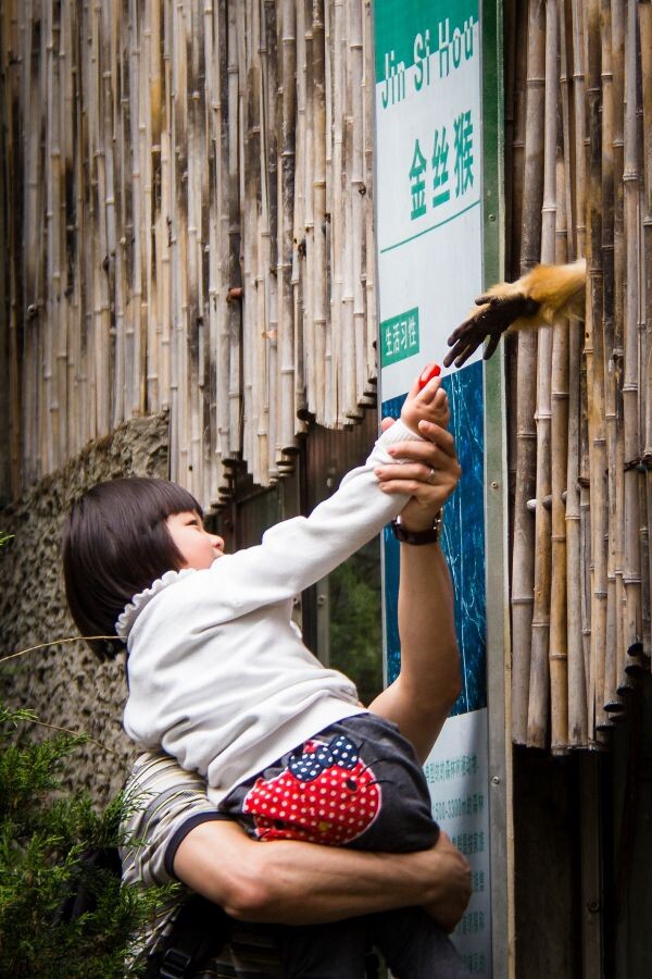 第四类接触