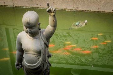 佛池