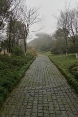 15504