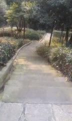 IMAG0025.jpg