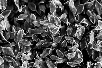 _MG_9261-2