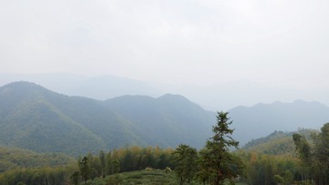 3609B660-C7F3-45B9-B041-5122C50A225B/L0/001