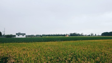 C3C9D77B-60C8-45E7-AA24-34C67545356F/L0/001