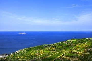 _MG_3460.jpg