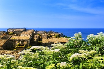 _MG_3552.jpg