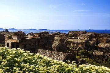 _MG_3513.jpg