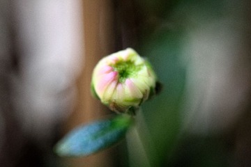 IMG_9928.JPG