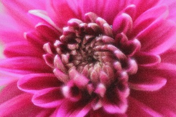 IMG_9934.JPG