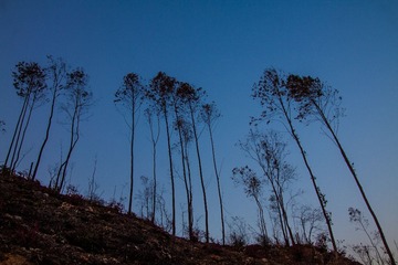 IMG_6168-2