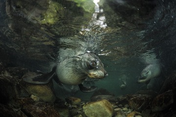 _MG_0877-1