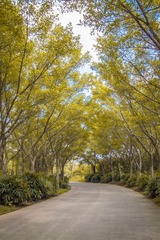 _MG_2142-2