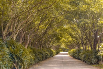 _MG_2164-2