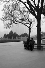 _IGP0974.jpg