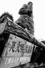 DSC00648_RS.jpg