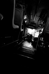 DSC00970_1280.jpg