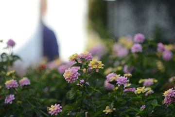 DSC_2195.JPG