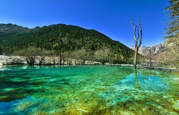 DSC_3925-2