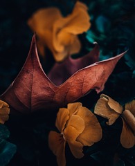 D313DB08-D6C0-4443-B03C-084EABC081F8/L0/001